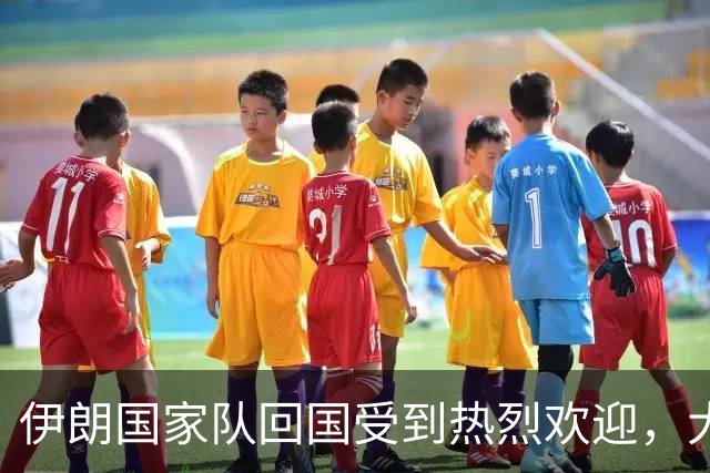 伊朗国家队回国受到热烈欢迎，大批球迷接机